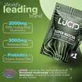Lucid Superfood Organic Mushroom Matcha with Nootropics - Lion's Mane Tremella Cordyceps &amp Turkey Tail - Instant Mushroom Matcha Focus Brain Health - Alpha GPC L-Theanine Ginko Biloba - USA Ma