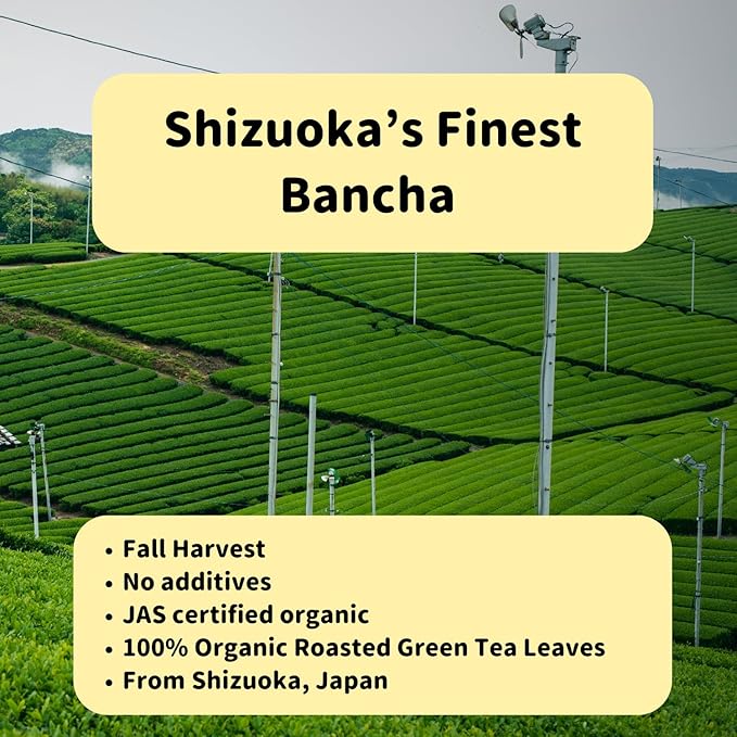 Traditional Bancha Loose Leaf Green Tea Organic - Premium Japanese Loose Leaf Tea from Shizuoka Japan - JAS Certified Authentic Roasted Green Tea Leaves - Pure Organic Non-GMO 100g