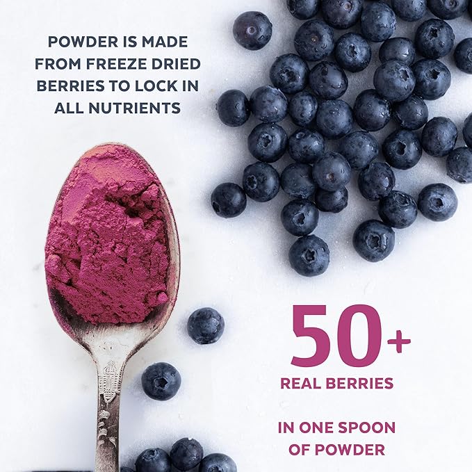 Wild Blueberry Powder Organic USDA Certified for Smoothies Baking and Flavoring Rich in Antioxidants and Vitamin C Organic Blueberries are Handpicked from Nordic Forests and Freeze Dried 6oz