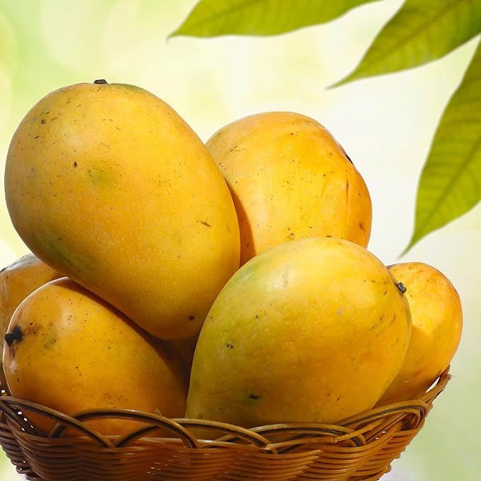 Anna and Sarah 4.5 Lbs (PACK 2) Bulk Dried Organic Mango No Sugar Added No Preservatives Al-Natural Premium Quality in Bag 144 Oz