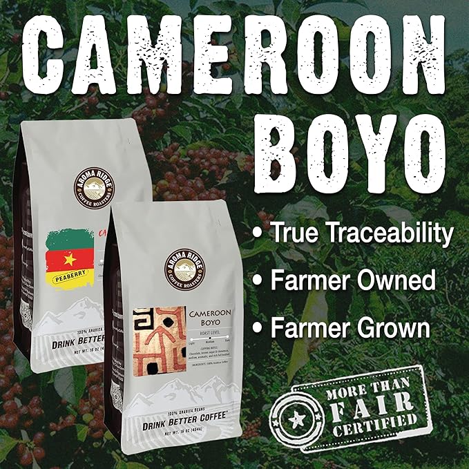 Aroma Ridge Cameroon Boyo Coffee Rare Hand Selected Beans Grown in Rich Volcanic Soil 16ounce Whole Bean