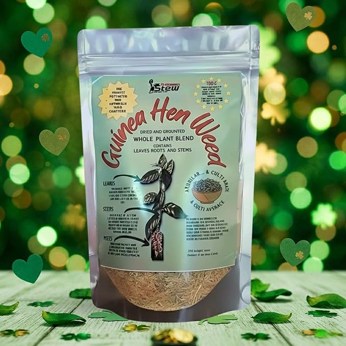 Rastaman Stew Guinea Hen Weed Tea 4oz – Jamaican Anamu (Petiveria Alliacea) Dried Leaves Stems &amp Roots | Wildcrafted Loose Leaf Herbal Bush Tea