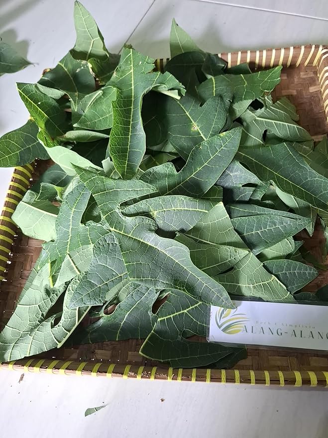 Daun Pepaya - Carica papaya Dried Leaf (200 Gram)
