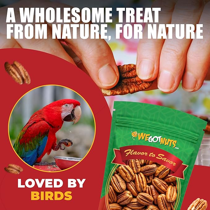 Two Pounds Of Pecans Raw Whole Shelled Raw Natural No Preservatives Added Non-GMO NO PPO 100% Natural We Got Nuts