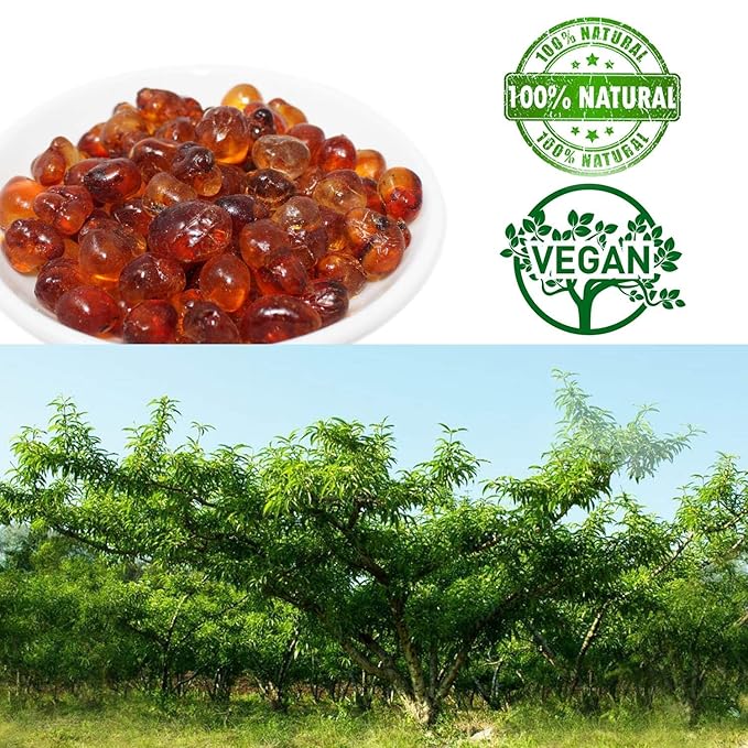 DABC OAK LAND 2 LB Wild Peach Gum 100% Natural Edible Peach Blossom Tears Tao Jiao Peachs Resin 滋補抗皺 桃膠 Collagen Boosting for Skin Health Food Additives Free for Dessert Drink Soup Tea 2 X1LB/