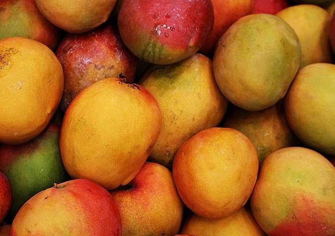 Food to Live Organic Mango Powder 2 Pounds - Non-GMO Made from Raw Dried Fruit Unsulfured Vegan Bulk Great for Baking Juices Smoothies Yogurts Contains Maltodextrin No Sulphites