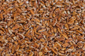 The Pecan Pantry Bulk Pecan Pieces - 5 lb Box - U.S.A. Grown – Ready-to-Use Quality Fancy Pecan Pieces for Baking Cooking &amp Topping – Perfect for Home Chefs &amp Bakers