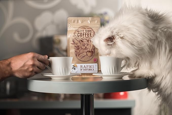 Kitty Town Coffee: Rafiki Medium Roast Coffee From Guatemala 2lb (32oz) Whole Bean