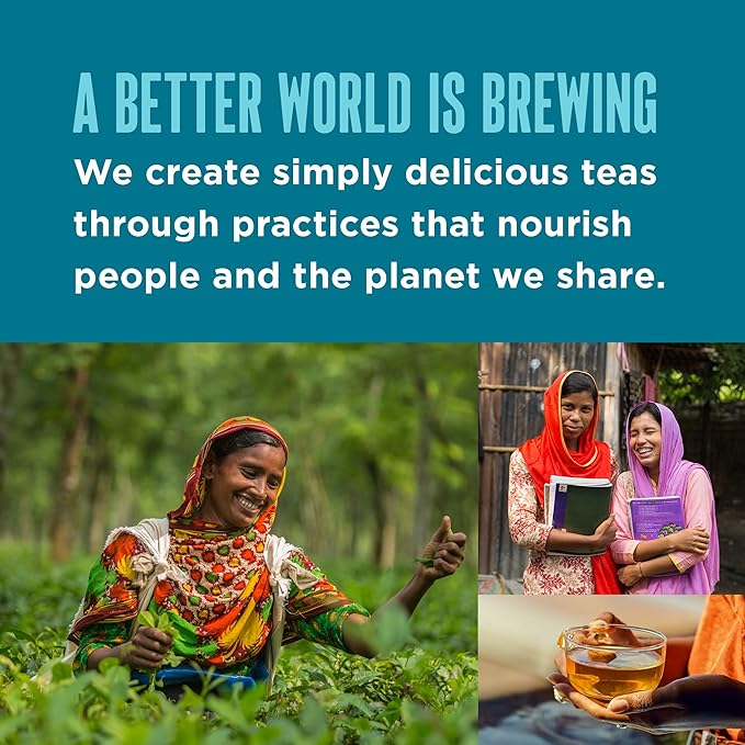 Teatulia Organic Earl Grey Tea Bags (50 Pyramid Sachet Teabags) Whole Leaf Flower 100% Compostable Black Tea + Bergamot Citrus Sustainably Grown In Bangladesh