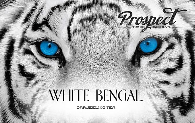 Prospect Tea Co. White Bengal Darjeeling Tea Pods Compatible with K Cup Brewers Including 2.0 40 Count