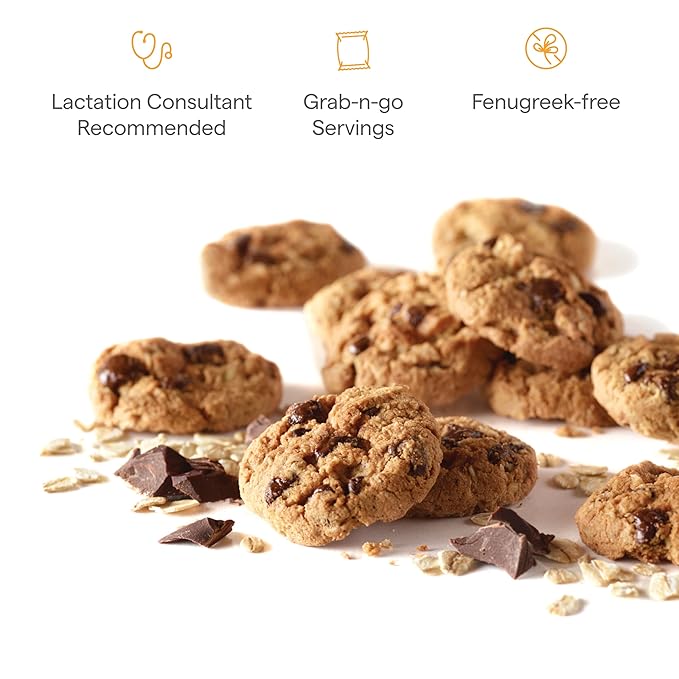 Munchkin Milkmakers Lactation Cookie Bites Oatmeal Chocolate Chip 10 Ct