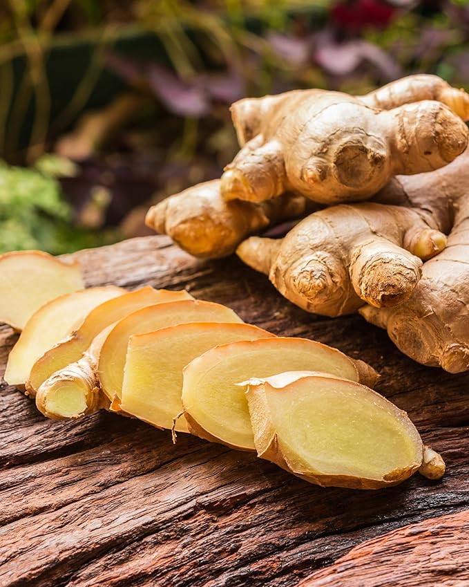 Xin Qing White Ginger Green Tea White Ginger Tea Loose Leaf Ginger Tea | Natural and not bitter 150g/5.3oz