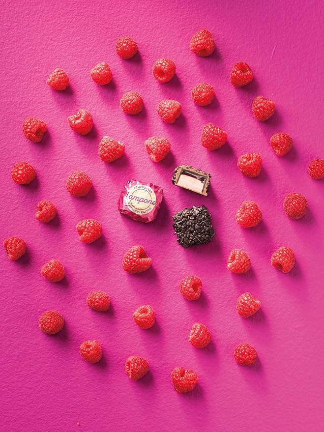 Venchi - Murrine Gift Box with Raspberry Chocoviar and Dark Chocolate 10.16 oz Gluten-Free No Artificial Colors or Preservatives Gift Idea