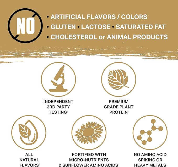 Ambrosia Planta - Plant-Based Protein Powder 20g | Dairy Free Vegan Protein Powder with BCAA Amino Acids | Keto-Friendly No Added Sugar | 25 Servings | Vanilla