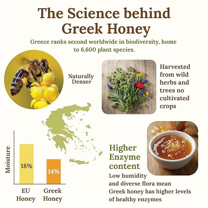 MY LAND Raw Unfiltered Greek Honey – Wild Thyme from Mt. Pangaion Naturally Dense &amp Unpasteurized Pollen-Rich Raw Sweetener from Greece | 9.5 oz Glass Jar (Pack of 1)