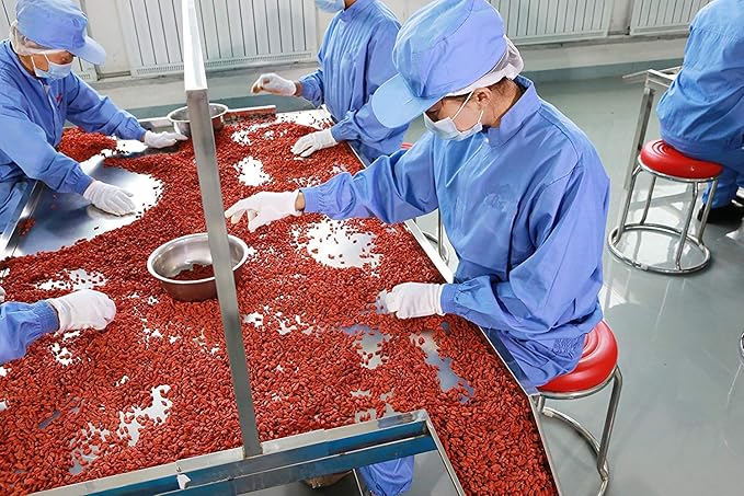 Wholeberry organic wolfberry gouqi Goji berries 11lbs | Raw Vegan Gluten Free Super food High in Plant Based Protein Dietary Fiber Vitamin A &amp Iron | Large……