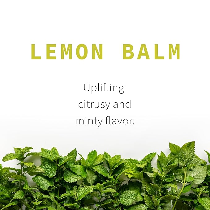 Lemon Balm Tea Organically Grown in Wisconsin | 4.9 oz | 69 Servings | Sacred Blossom Farm | Herbal Tea &amp Medicinal Herbs | Loose Leaf | Regenerative Farming | Single Source | Melissa officinalis
