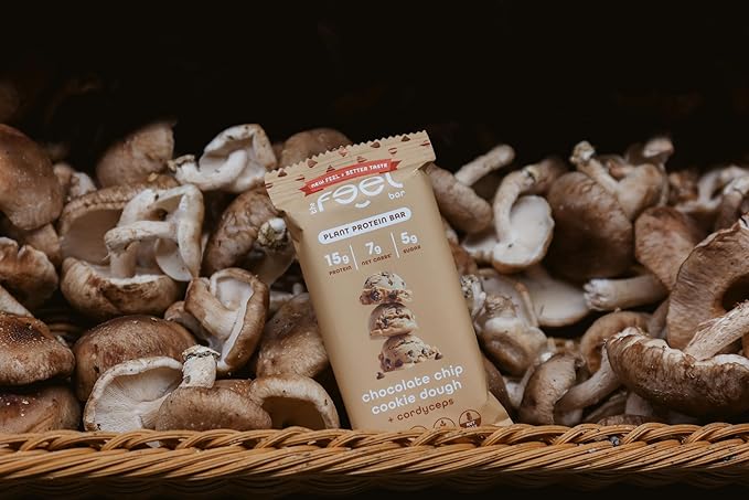 Feel Vegan Protein Bars Balance Cordyceps 15g Protein Adaptogenic Snack Organic Low Carb Gluten Free Dairy Nut Grain Soy Free Cookie Dough 10 Pack