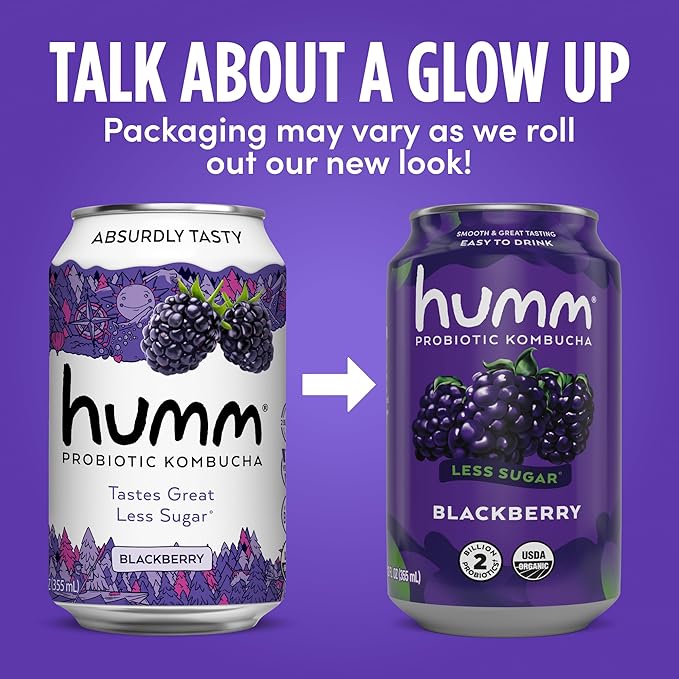 Humm Kombucha Blackberry Organic Vegan &amp GMO Free (24 Pack)