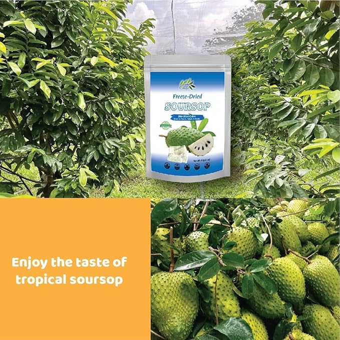 CHAVI Freeze Dried Soursop Fruit | 4 oz | Pack of 2 x 2 Oz | Healthy 1 Ingredient Superfood | No Added Sugars or Preservatives | Non-GMO Vegan Gluten-Free