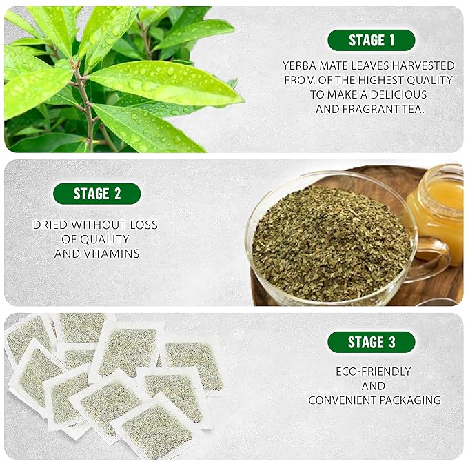 Yerba Mate Tea - Green Cut &amp Sifted - Unsmoked Energy Boost - 300 Tea Bags - Packed with Nutrients - Your Perfect Coffee Replacement