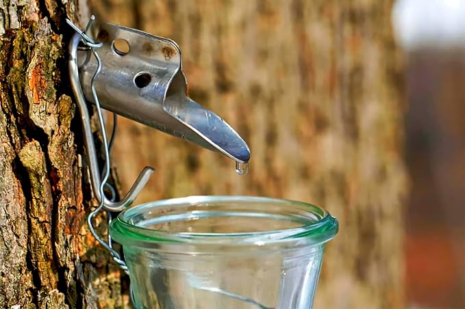 BLUE RIDGE TIMBERS Pure Grade A Maple Syrup 100% Natural Organic USA Harvested from our trees to your kitchen table