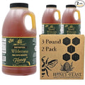 HONEY FEAST Subtropical Wilderness Honey 3 Pounds (Pack of 2) Raw &amp Unfiltered – Small-Batch Beekeeper Craft Treasure