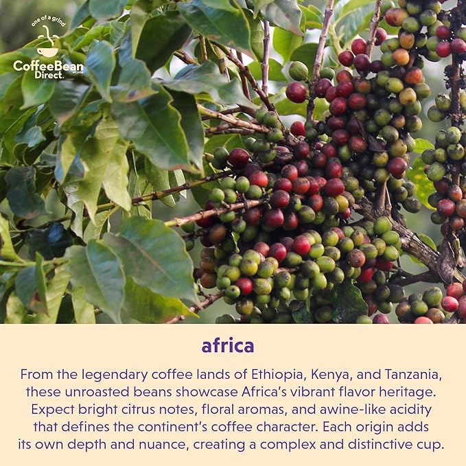 Coffee Bean Direct Unroasted Tanzanian Peaberry 5 Pound (Pack of 1)