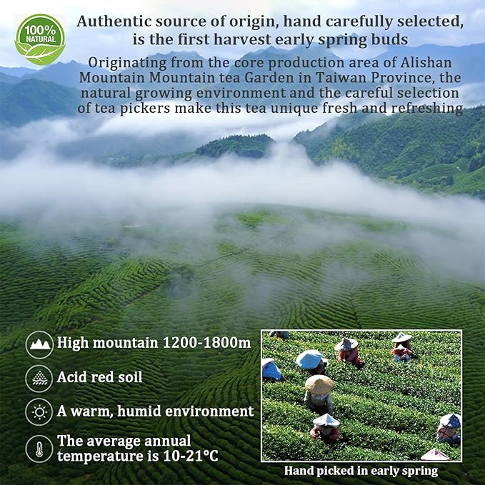 XIXICHA Alishan Oolong Tea Loose Leaf Grade AAA Taiwan High Mountain Gaoshan Ulong Tea Taiwan Tea Taiwanese Green Oolong Tea Floral and Fruity Aroma（120 cups） 5.29oz/150g 阿里山 乌龙茶