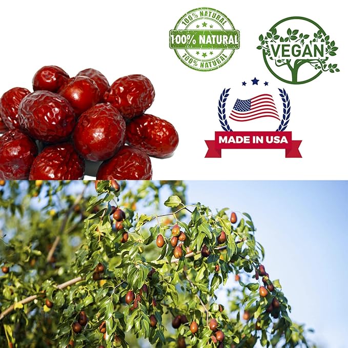 4 Pound DABC OAK LAND Premium Jujube Red Dates 100% Natural Red Date (Hong Zao) High Vitamins High Nutrition Health Snack Selected Dried Fruit Big &amp Delicious Packed in USA 特级红枣 1LB/ 4 Bags