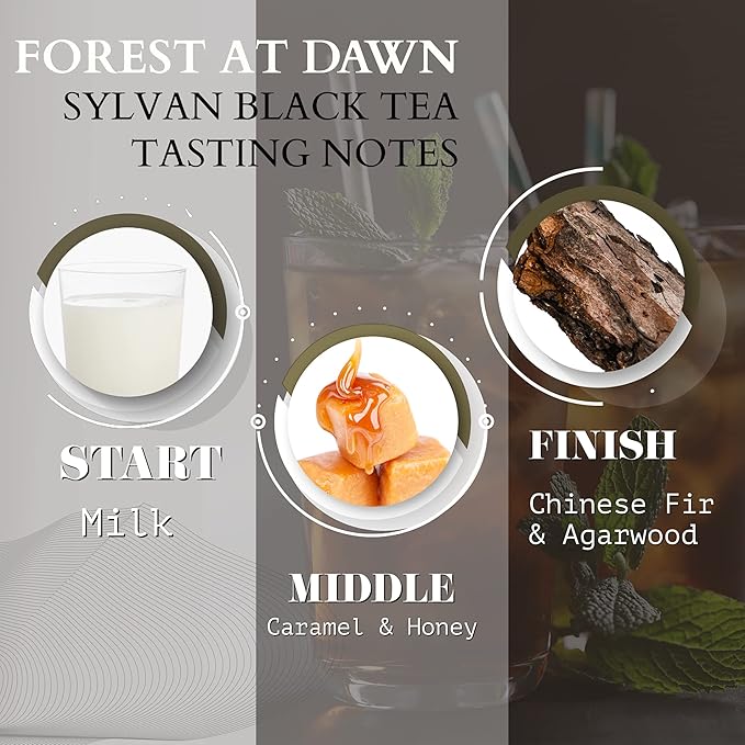 Organic Sylvan Black Tea | BREAKFAST TEA | NATURAL ANTIOXIDANTS15 Count (Pack of 3) | By T SECRETEA Forest at Dawn