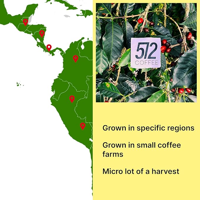 512 COFFEE | Light Roast Coffee Whole Bean - QGS 87.75 | Specialty Fresh Roasted Single Origin Ethiopian Sidamo Coffee | Natural Flavored Notes of Blueberry Chocolate Juicy