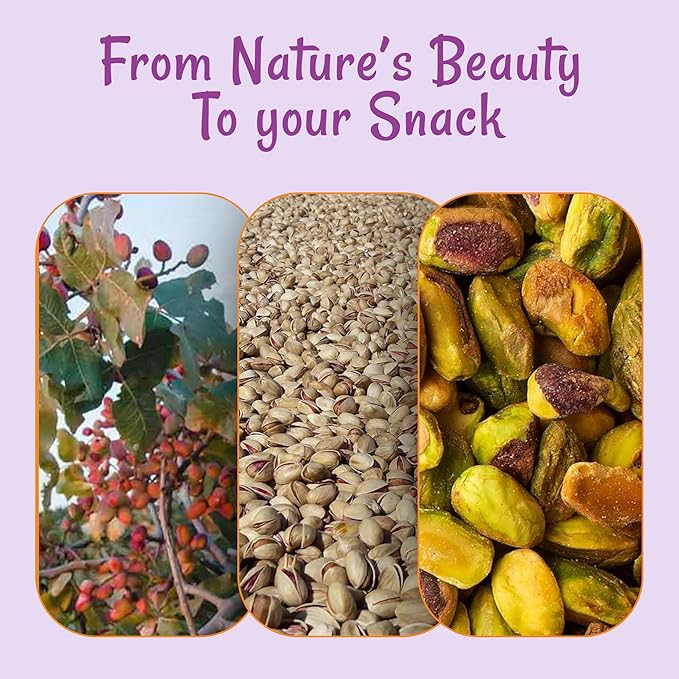 Oh! Nuts Pistachios No Shell - Raw - 100% Natural - 3 lb - Raw Whole California Pistachios - Packed in New York Zip-Seal Bag for Exceptional Freshness