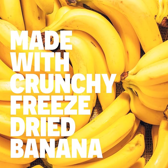 FROPRO Plant Protein Snack Bars - Plant Based Protein Bars All-Natural Gluten Dairy &amp Soy Free High Protein Bars with Low Calories | Banana Crunch 24 Pack