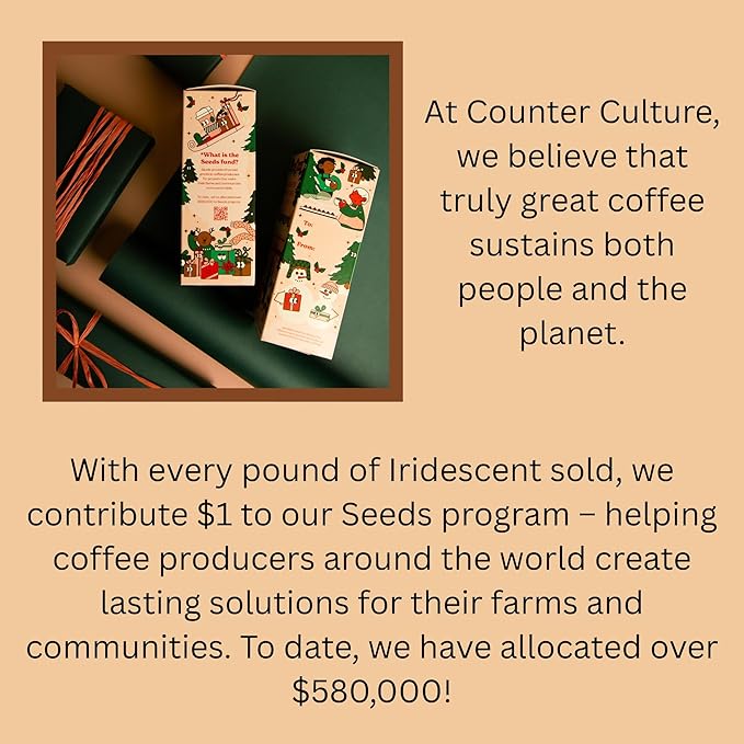Counter Culture Coffee Iridescent Holiday Coffee Blend - Medium Light Roast Sustainably Farmed Kosher Whole Bean Coffee 12oz (2 Bags)