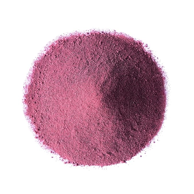 Food to Live Black Elderberry Juice Powder16 Pounds-Raw Dried Berries Unsulfured Vegan Bulk For Baking Juices Smoothies Yogurts Instant Breakfast Drinks No Sulphites Contains Maltodextrin