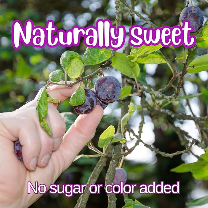 Dried Pitted Prunes Unsweetened by It's Delish 5 Lbs Bulk Bag | Naturally Sweet No Sugar Added High Fiber Dried Fruit Snack | Healthy Moist and Fresh Dry Plums | Vegan Kosher