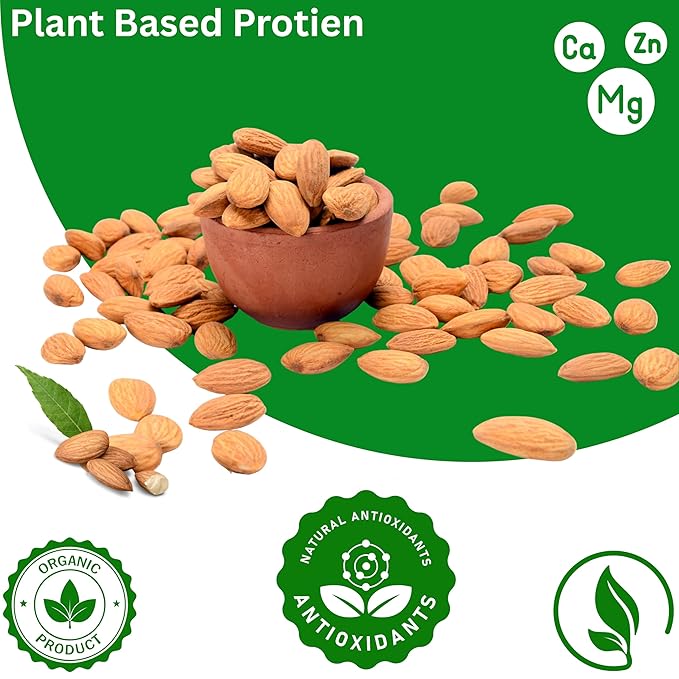 Bitter Apricot USDA Organic (1LB) Sun Dried Bitter Apricot kernels 16oz Natural Raw Bitter Apricot Seeds Vegan Non-GMO Gluten Free Great source of Vitamins 3 Kernels everday
