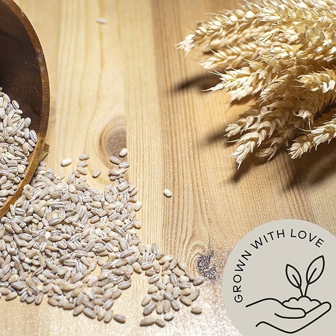 Be Still Farms Organic Pearl Barley Grain (2.8lb) - Pearled Barley Seeds for Soup Pot in Bulk - Not Hulled | Similar to Hulless Barley | Quick Cook Barley for Porridge Cereal | USDA Organic | Vegan