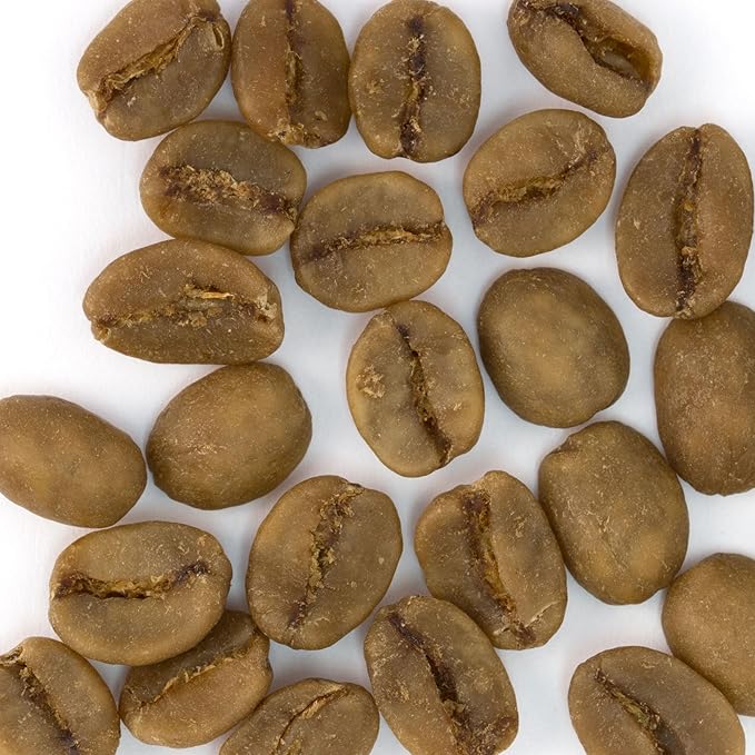 Coffee Bean Direct Unroasted Organic SWP Decaf Mexican 5 Pound (Pack of 1)