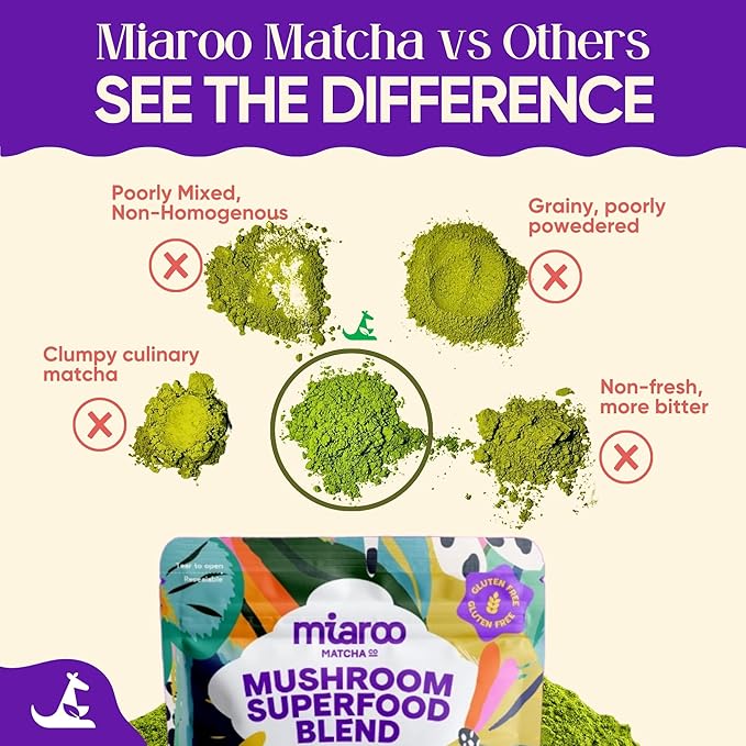 Mushroom Matcha 150g (25 servings 70mg Caffeine Zero Sugar) with Lion’s Mane Cordyceps Reishi Chaga | Adaptogenic Nootropic Calm Energy Gut Support &amp Cognitive Improvement | Miaroo