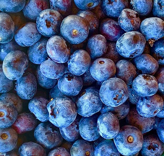 Tree Juice Blueberry Maple Syrup | 100% Pure Grade A Maple Syrup | All Natural Non GMO Vegan Gluten Free Vegetarian Paleo | 12 Ounce Bottle