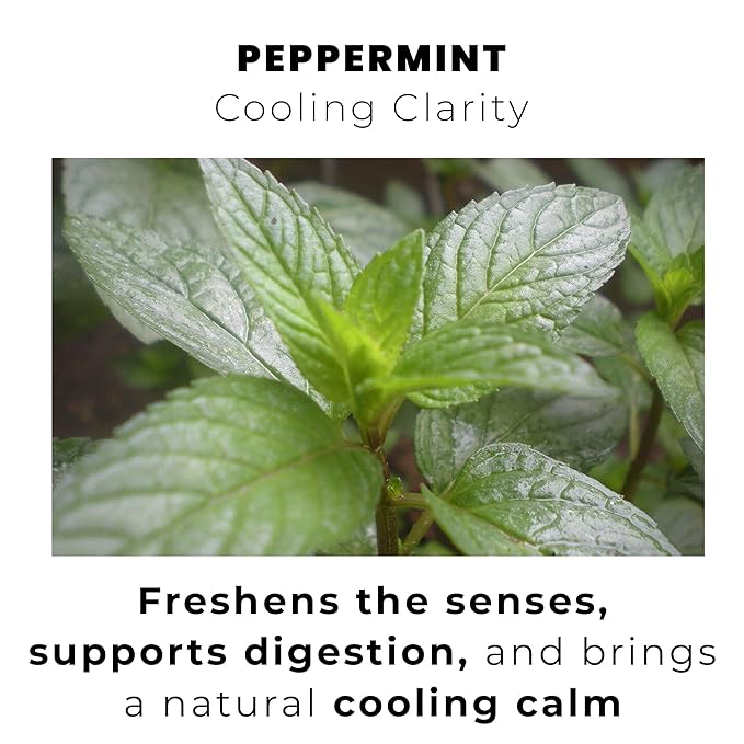 Yellow.fit Peppermint Whole Leaf Tea – 1500mg Loose Leaf Herbal Tea Caffeine-Free Peppermint Leaves Naturally Refreshing Herbal Infusion 66 Servings