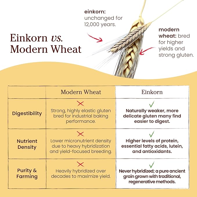 Jovial Organic Einkorn Flour 32 oz (2 pack)