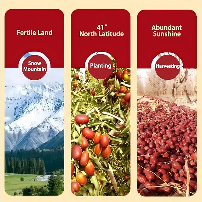 DGYLHBJ Jujube Dates 2.2LB/1000g Chinese Red Date Selected Dried Jujubes for Tea Baking Cooking Chewy Snacks Without Additives 红枣 (Small Date-2.2LB)