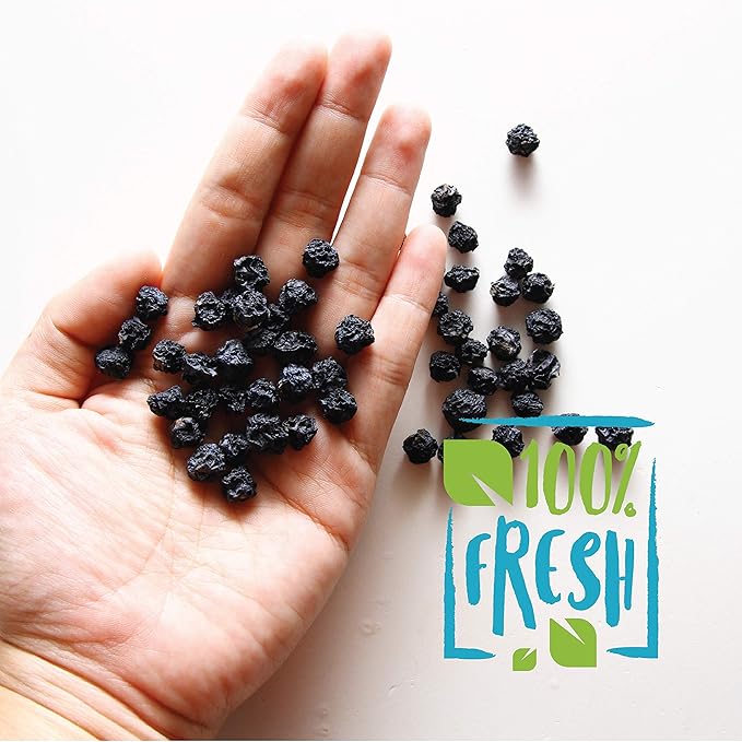 Herbaila Whole Dried Blueberries No Sugar Added Bulk Dehydrated Dried Unsweetened Blueberries All Natural Non-GMO 1 Pound. - 16 oz. (Pack of 2)