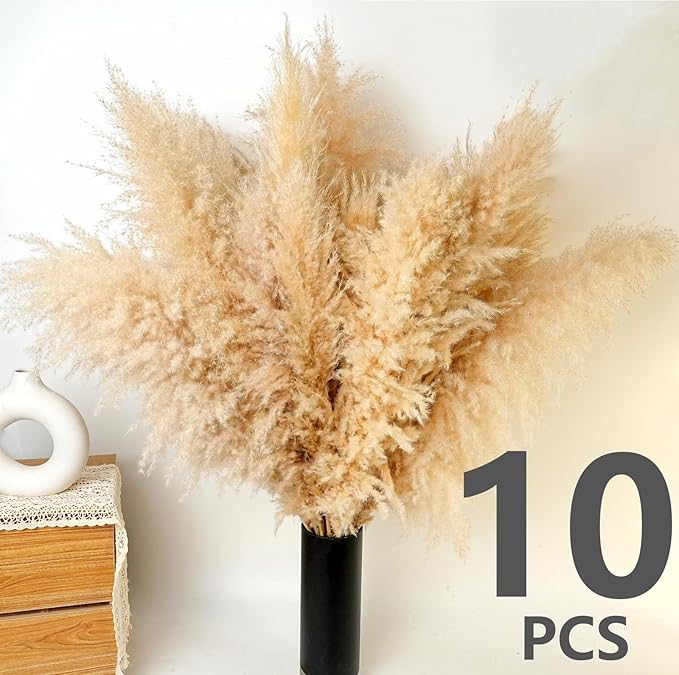 10 PCS 40 Tall Pampas Grass Stems in Natural Beige Add a Boho Touch to Your Space—Pompas Grass Ideal for Floral Arrangements Floor Vases Weddings and Creating a Bohemian Ambiance at Home.