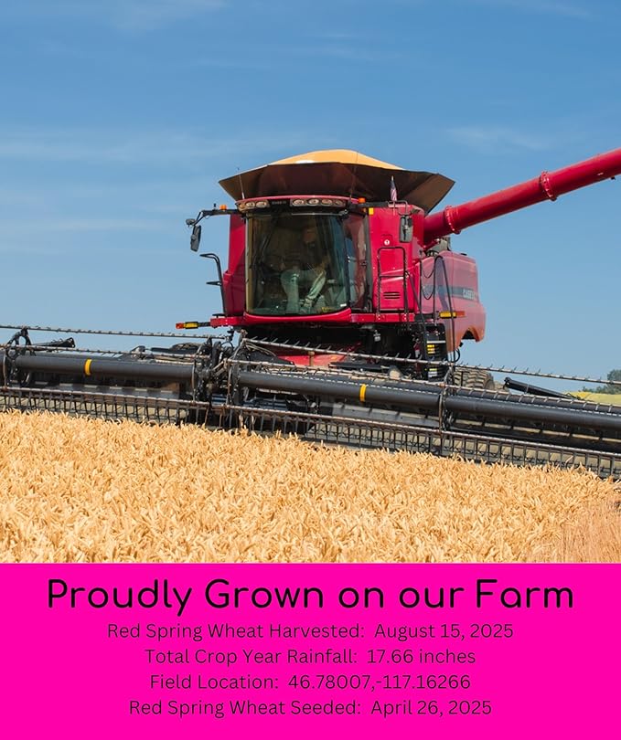 Palouse Brand Certified Glyphosate Residue Free Hard Red Spring Wheat Berries | 25 LBS | Meet the Farmers | 100% Desiccant Free | Sproutable | Non-GMO Project Verified | Kosher | Poly Bag