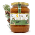 Goshen World Honey Collection - Forest Pine Blossoms from Germany - Raw Rare and Sustainable Floral Sources - Derived from Natural Flower Nectar with Antioxidants - Nature's Sweetener - 32oz