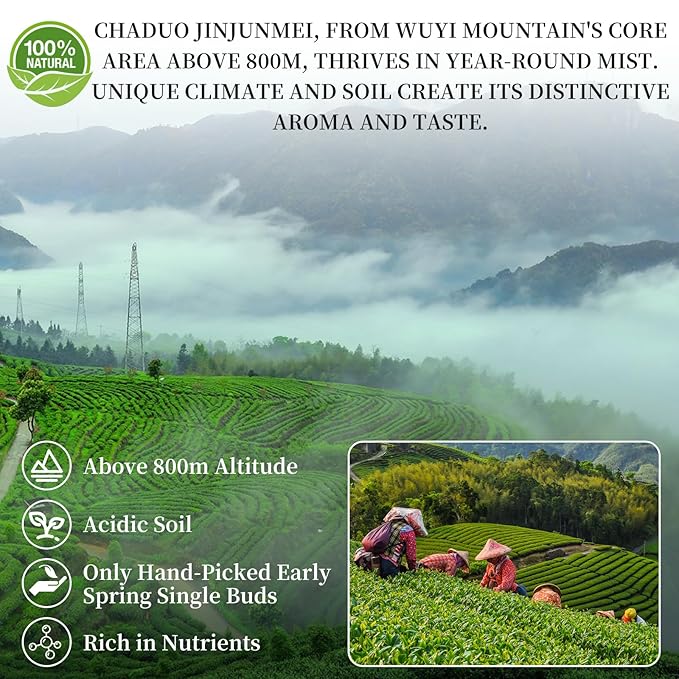 CHADUO Golden Monkey Tea Loose Leaf Jin Jun Mei Black Tea Loose Leaf Authentic Wuyi Mountain Jinjunmei Black Tea Rich Floral Aroma And Honeyed Fruity Aroma 150g/5.29oz Grade AAA 金骏眉 红茶 中国茶